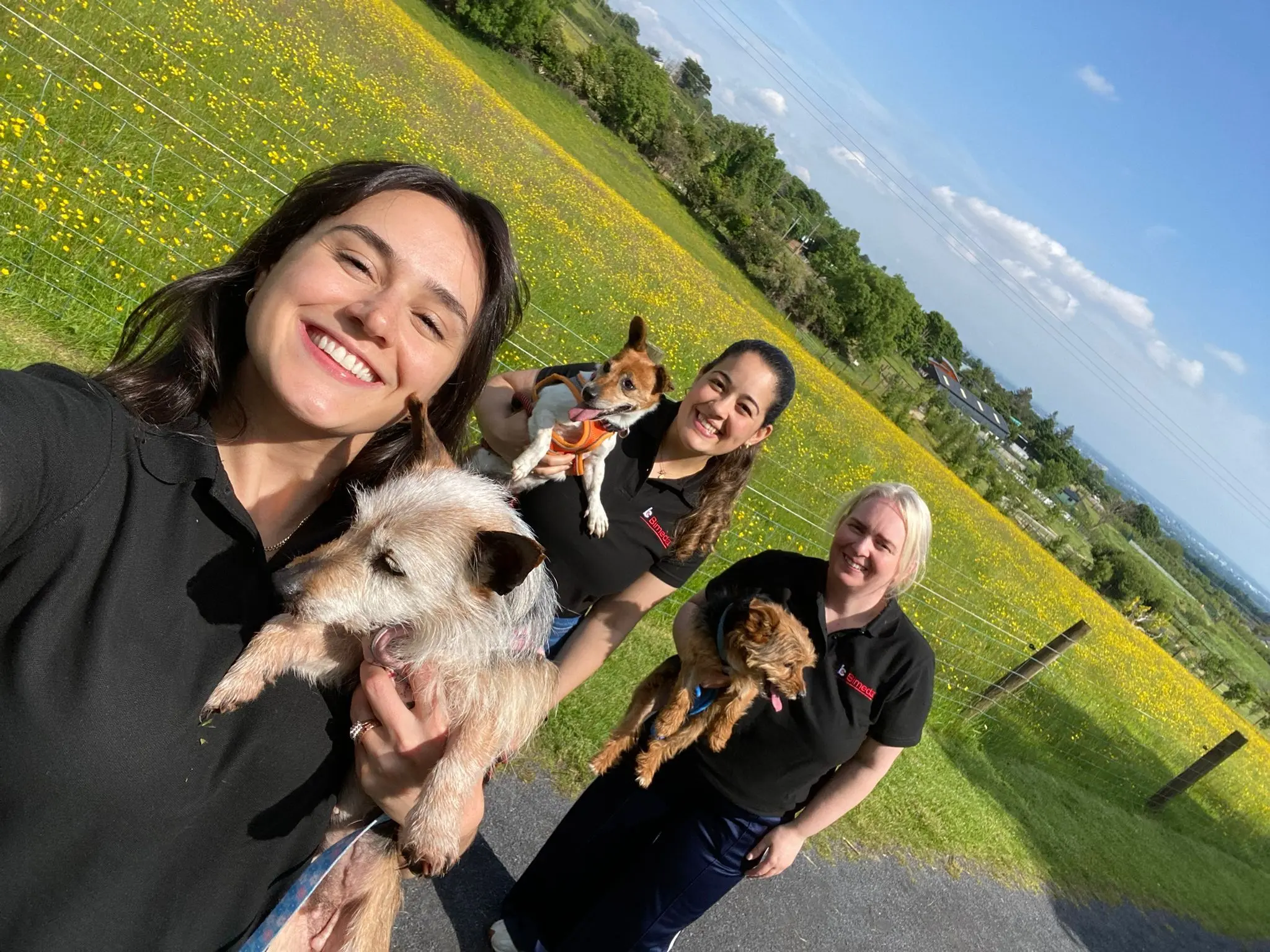 Bimeda Ireland Volunteers With DSPCA